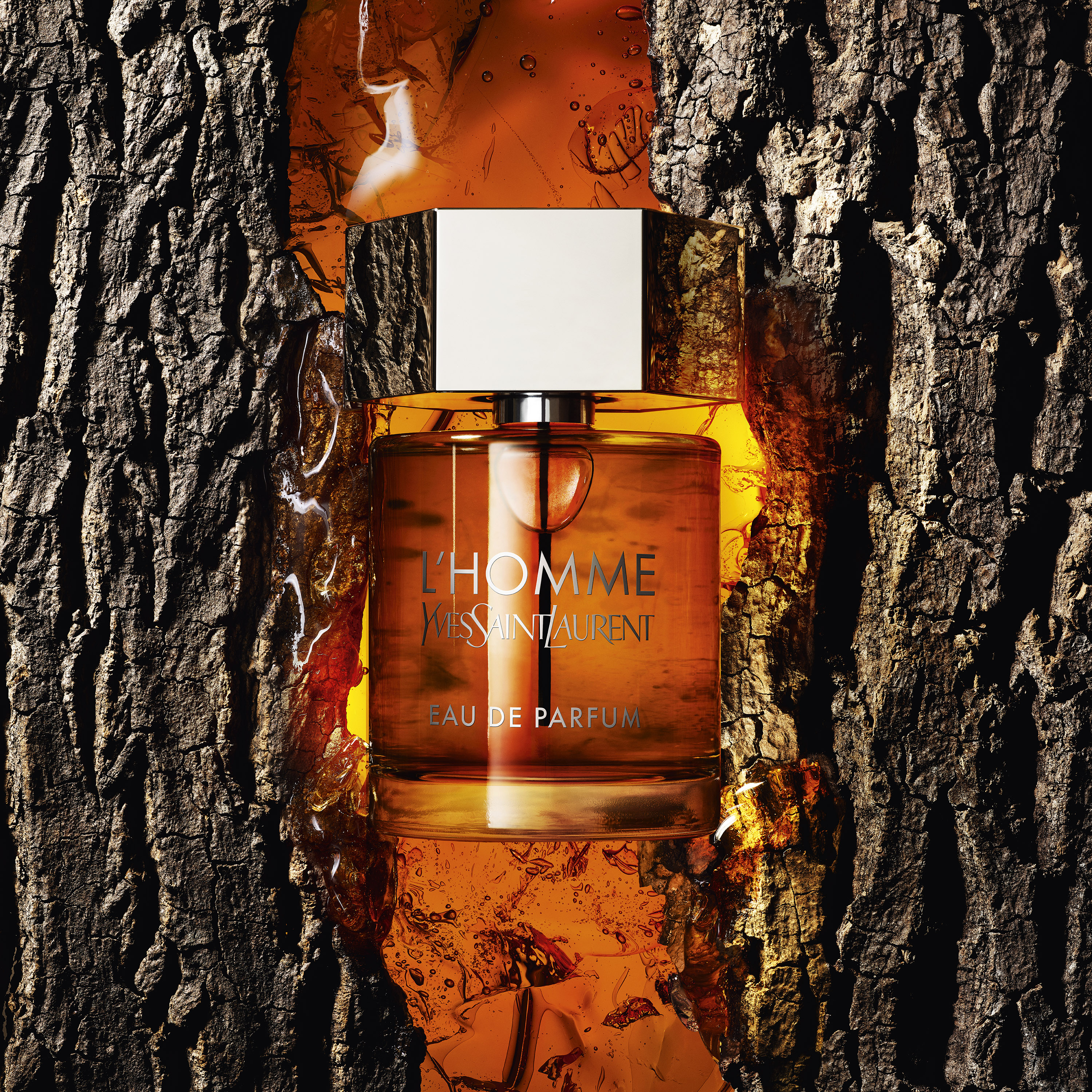 Fragrances Yves Saint Laurent L'Homme Eau de Parfum 100ml - PARFUM